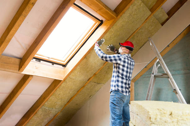 Professional Insulation Removal & Installation in Bithlo, FL